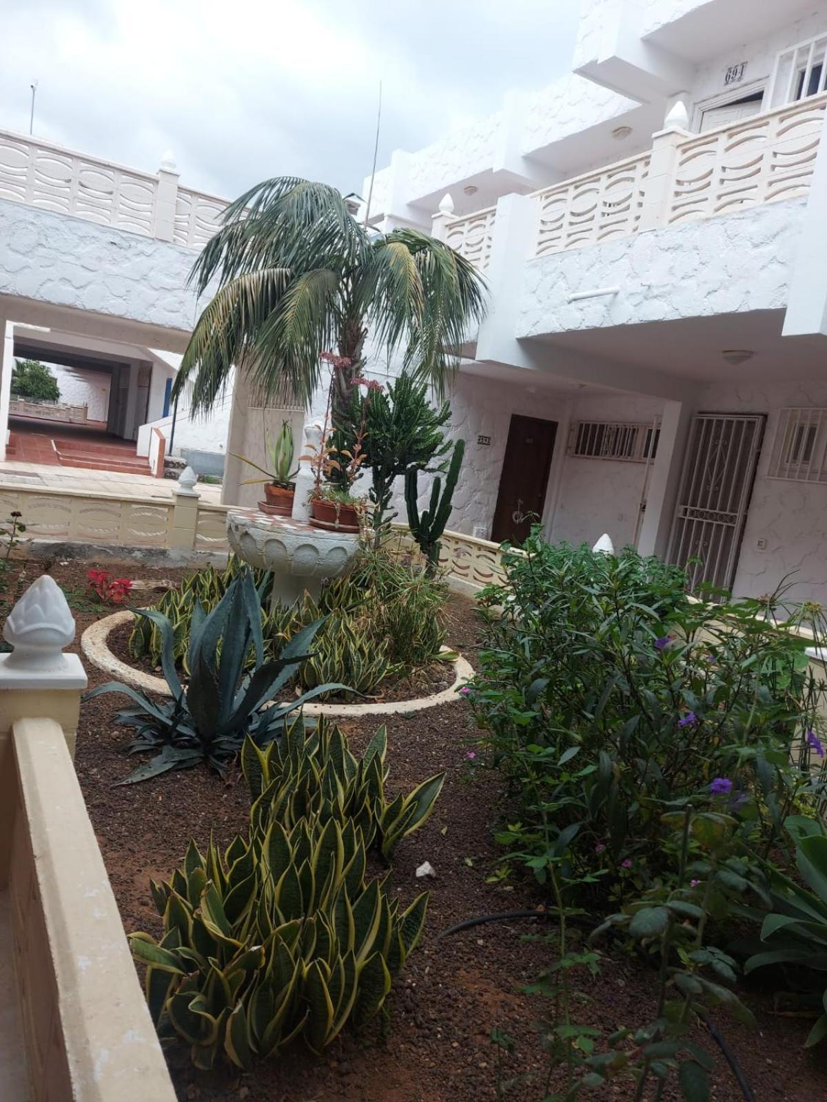 Апартаменти Casa Papagayo Арона Екстер'єр фото